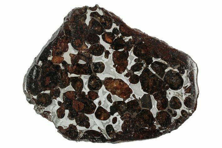 Sericho Pallasite Meteorite ( g) Slice - Kenya #346480